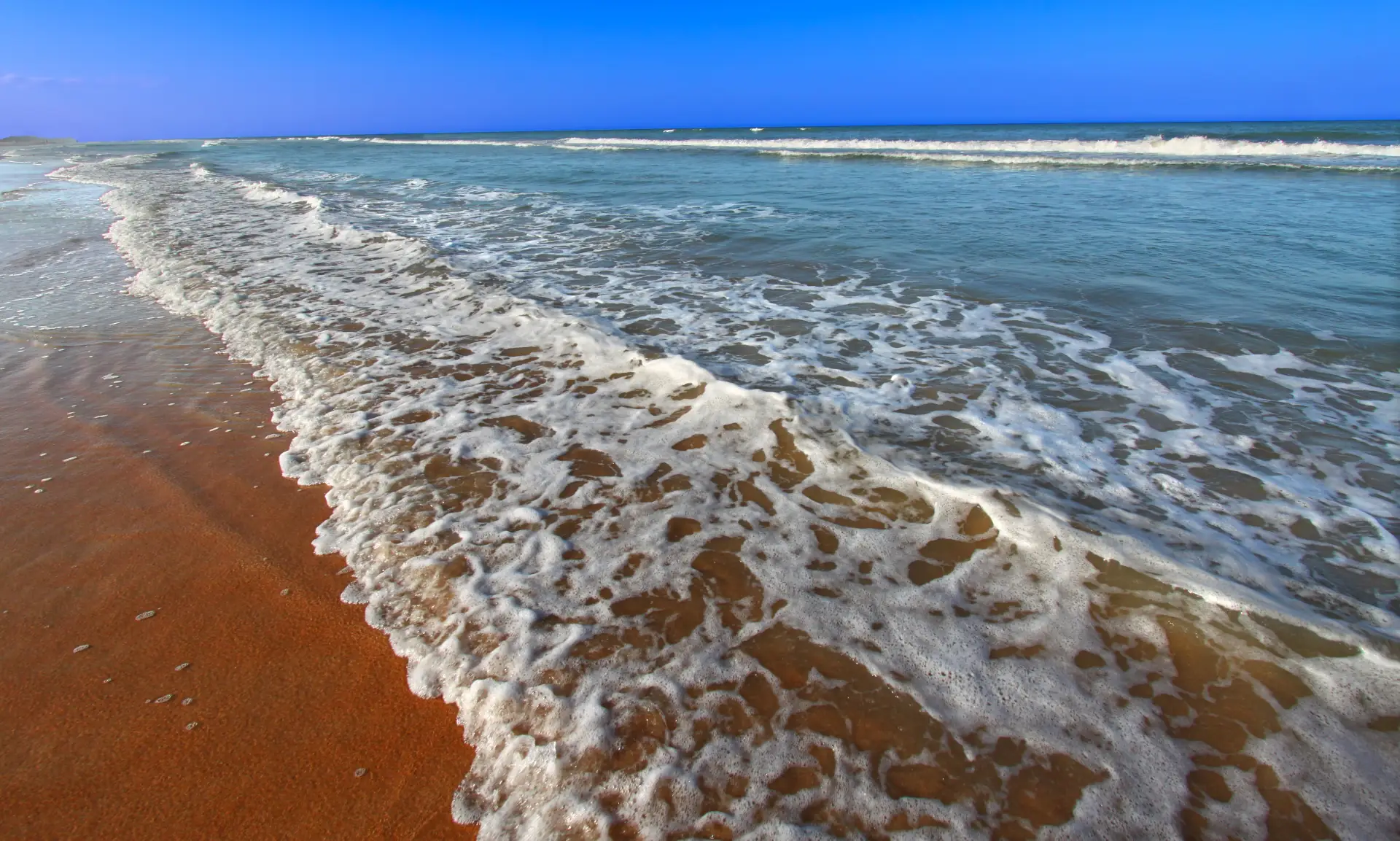 Ormond Beach PM Banner